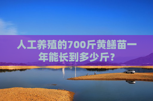 人工养殖的700斤黄鳝苗一年能长到多少斤？