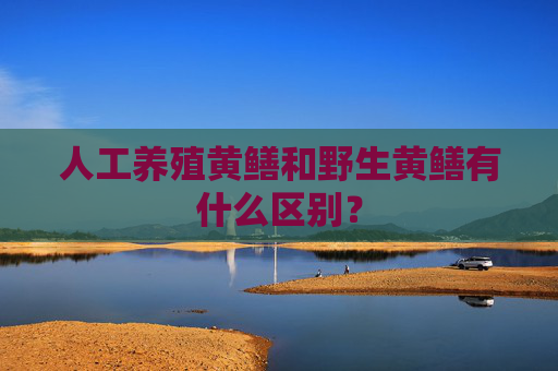 人工养殖黄鳝和野生黄鳝有什么区别？