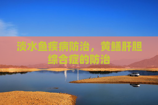 淡水鱼疾病防治，黄鳝肝胆综合症的防治