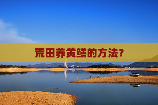 荒田养黄鳝的方法？