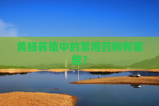 黄鳝养殖中的常用药物有哪些？