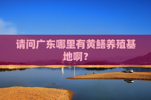 请问广东哪里有黄鳝养殖基地啊？