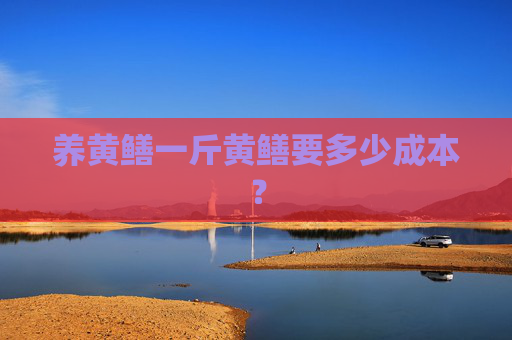 养黄鳝一斤黄鳝要多少成本？