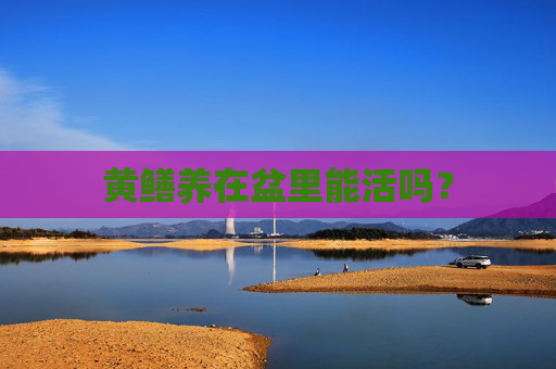 黄鳝养在盆里能活吗？