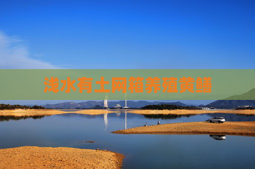 浅水有土网箱养殖黄鳝