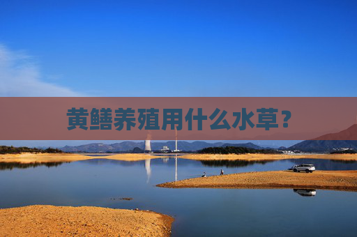 黄鳝养殖用什么水草？