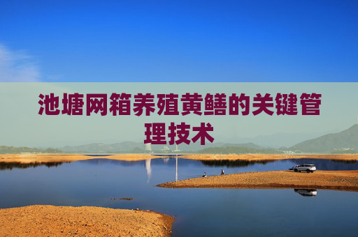 池塘网箱养殖黄鳝的关键管理技术