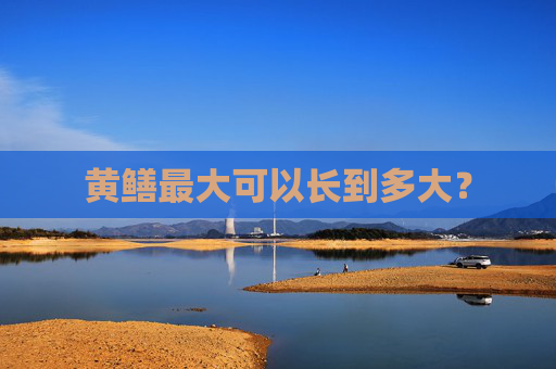 黄鳝最大可以长到多大? 黄鳝最大可以长到多大?