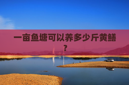 一亩鱼塘可以养多少斤黄鳝？