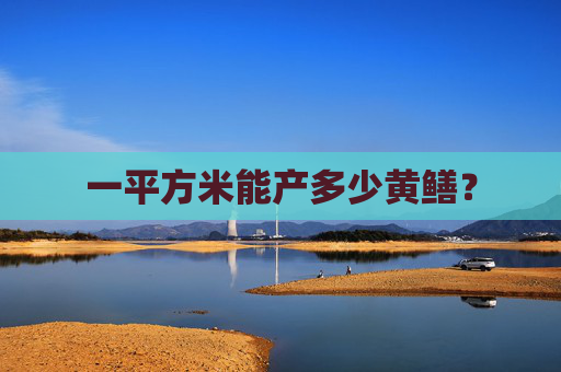 一平方米能产多少黄鳝？
