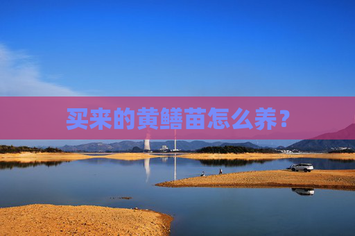 买来的黄鳝苗怎么养？