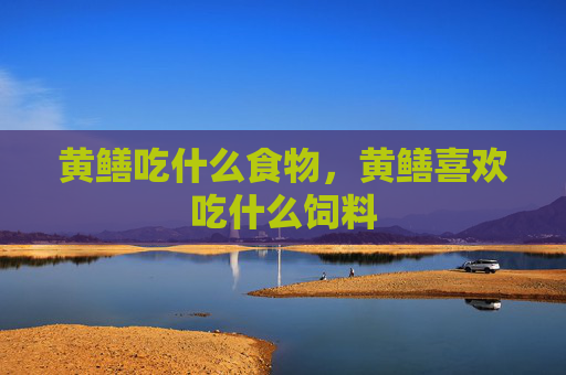 黄鳝吃什么食物，黄鳝喜欢吃什么饲料