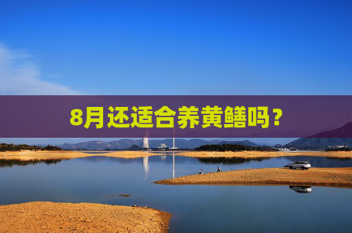 8月还适合养黄鳝吗？