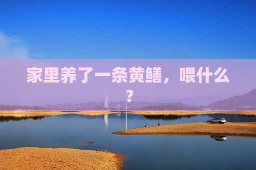 家里养了一条黄鳝，喂什么？