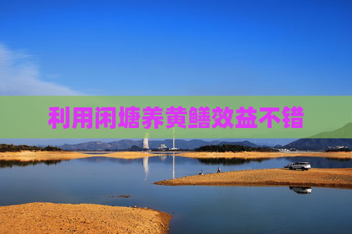 利用闲塘养黄鳝效益不错