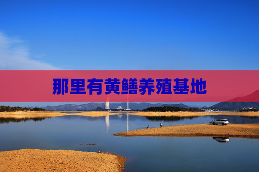 那里有黄鳝养殖基地
