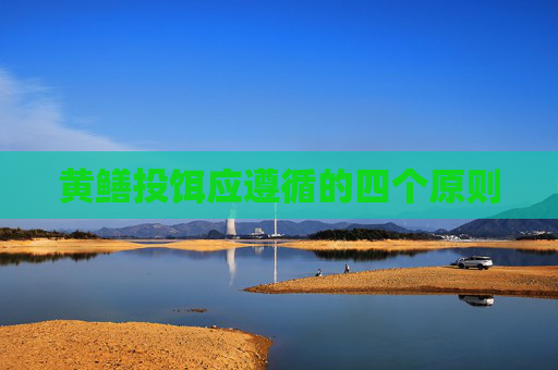黄鳝投饵应遵循的四个原则