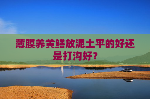 薄膜养黄鳝放泥土平的好还是打沟好？