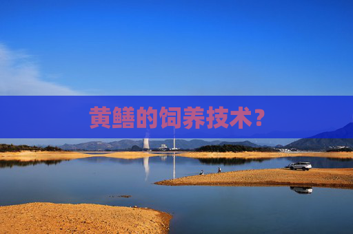 黄鳝的饲养技术？