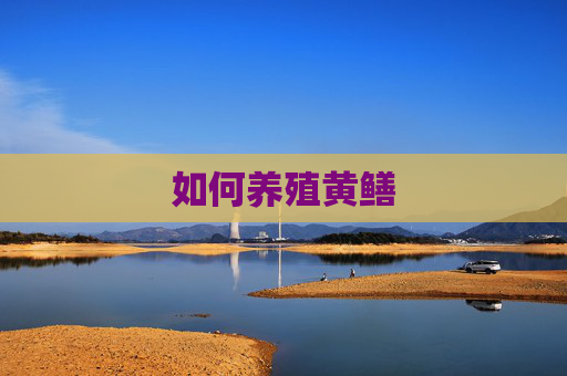 如何养殖黄鳝