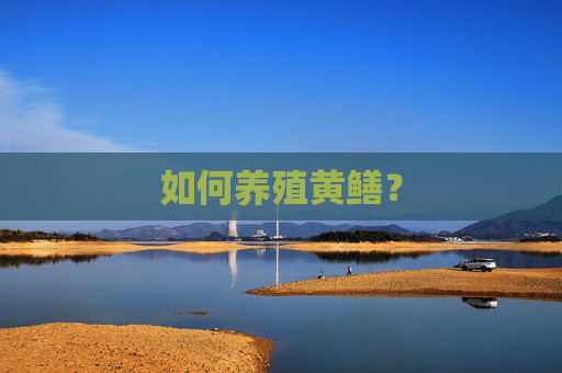 如何养殖黄鳝？