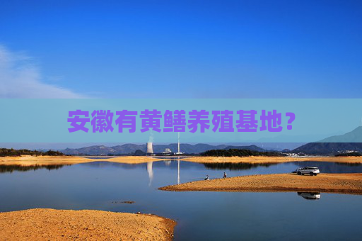 安徽有黄鳝养殖基地？