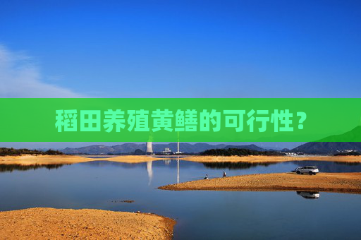 稻田养殖黄鳝的可行性？