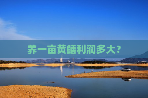 养一亩黄鳝利润多大？