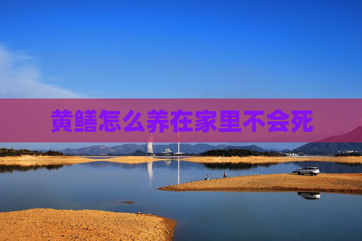 黄鳝怎么养在家里不会死