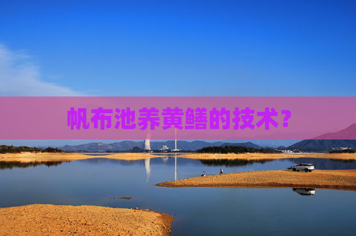 帆布池养黄鳝的技术？