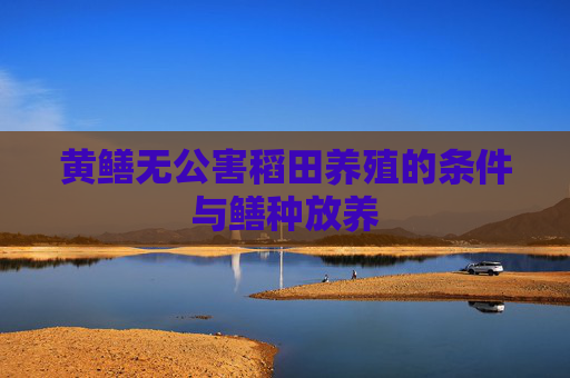 黄鳝无公害稻田养殖的条件与鳝种放养