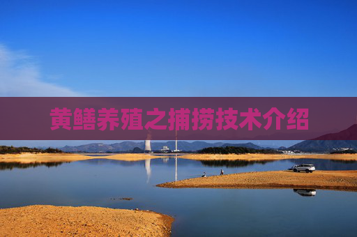 黄鳝养殖之捕捞技术介绍