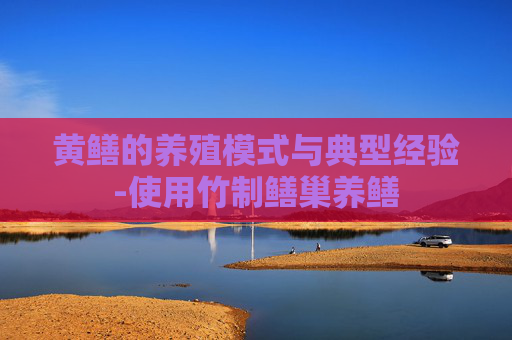 黄鳝的养殖模式与典型经验-使用竹制鳝巢养鳝