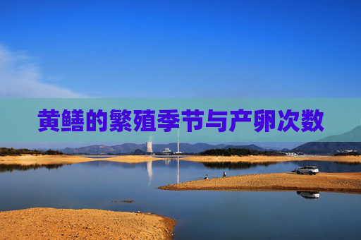 黄鳝的繁殖季节与产卵次数
