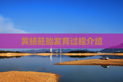 黄鳝胚胎发育过程介绍