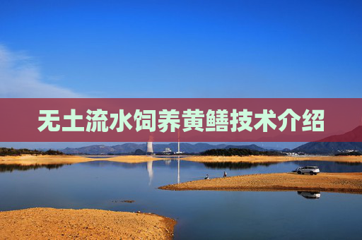 无土流水饲养黄鳝技术介绍