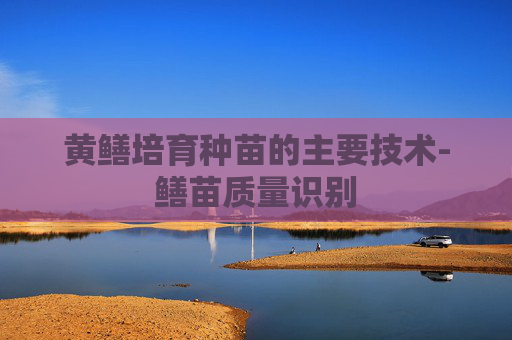 黄鳝培育种苗的主要技术-鳝苗质量识别