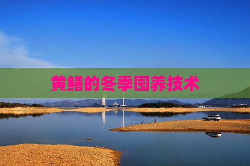 黄鳝的冬季囤养技术