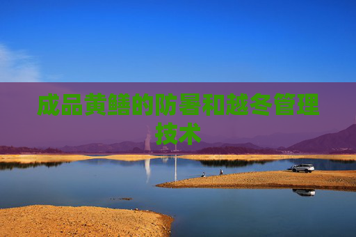 成品黄鳝的防暑和越冬管理技术