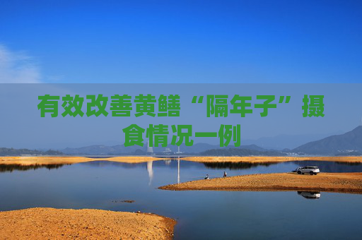 有效改善黄鳝“隔年子”摄食情况一例