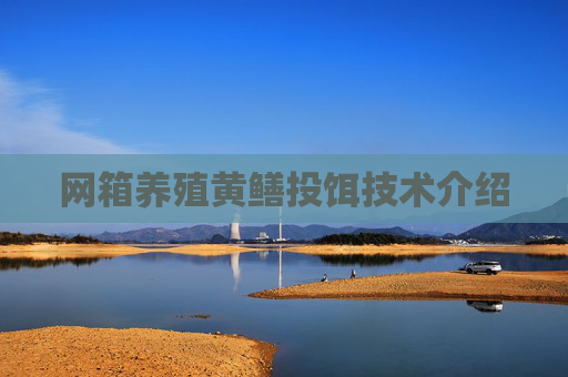 网箱养殖黄鳝投饵技术介绍