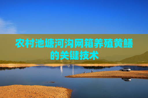 农村池塘河沟网箱养殖黄鳝的关键技术