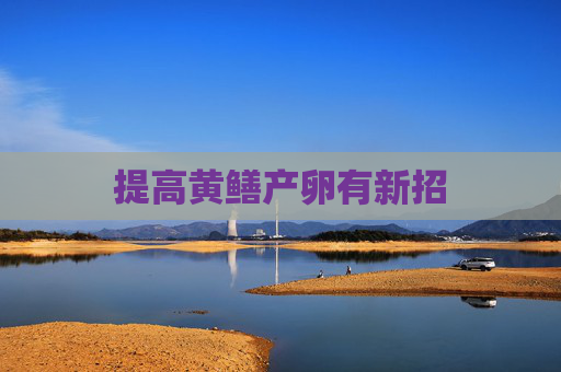 提高黄鳝产卵有新招