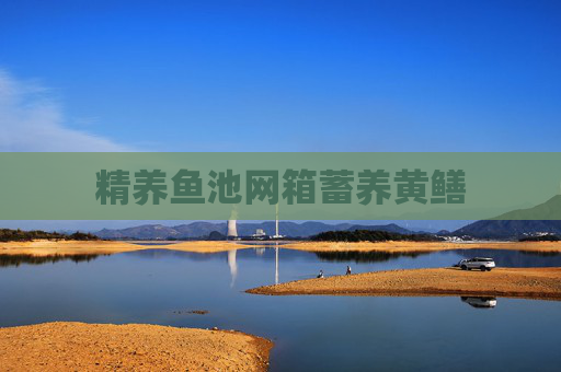 精养鱼池网箱蓄养黄鳝