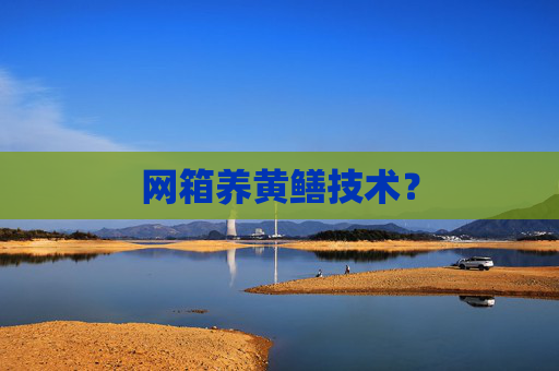 网箱养黄鳝技术？