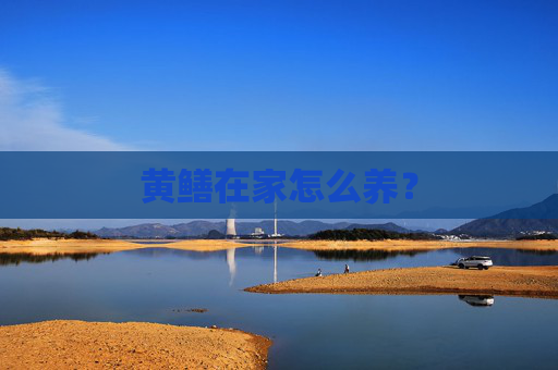 黄鳝在家怎么养？