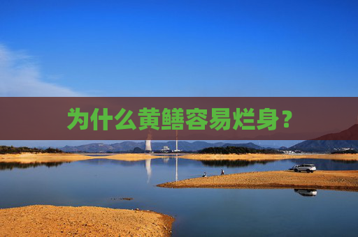 为什么黄鳝容易烂身？