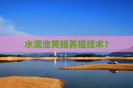 水泥池黄鳝养殖技术？