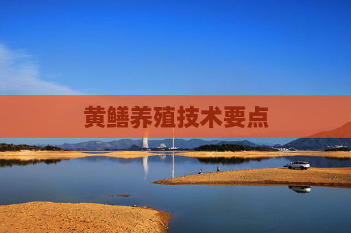 黄鳝养殖技术要点