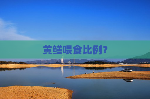 黄鳝喂食比例？